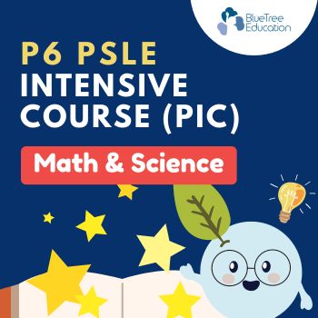 MATH & SCIENCE PSLE Intensive Revision Course [PIC] (2026) : 2025 School Exam Papers