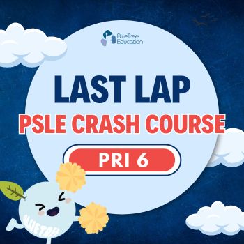 MATH & SCIENCE : The Last Lap PSLE Crash Course: Master Math Paper 2 & Science OEQ [2025 Top School Prelim Papers]
