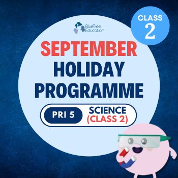 MAP SEPT 2026 Primary 5 Science Class 2 : Physical Science Topics