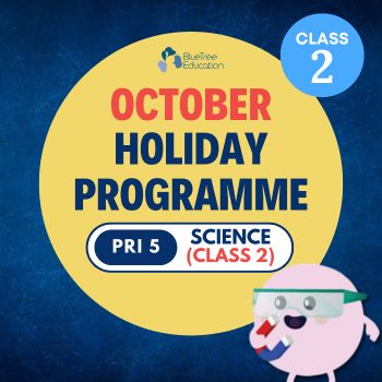 MAP OCT 2026 Primary 5 Science Class 2 : Physical Science Topics
