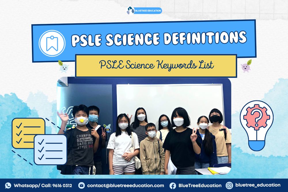 psle science definitions keywords