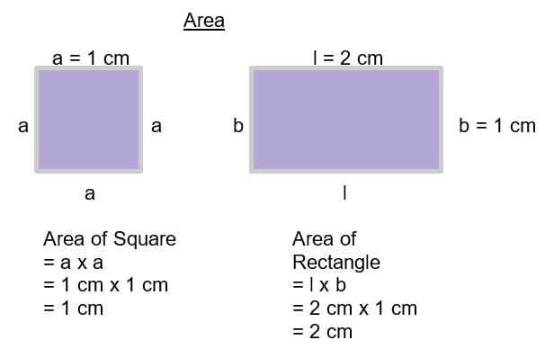 Understanding Area And Perimeter Primary Math 