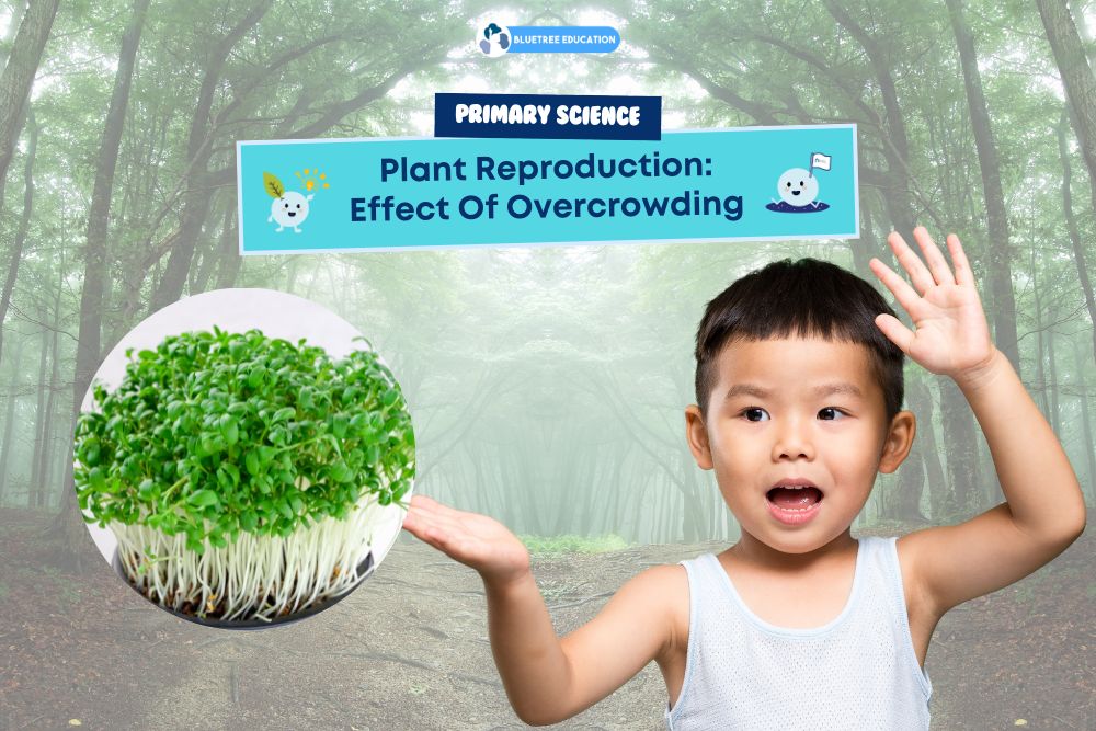 effect-overcrowding-plant-reproduction