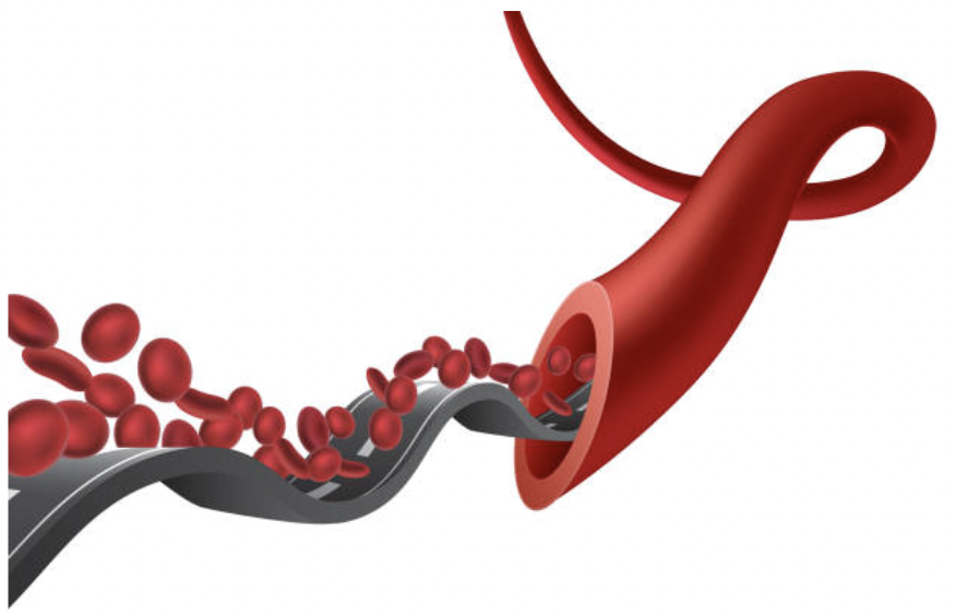 blood-vessels