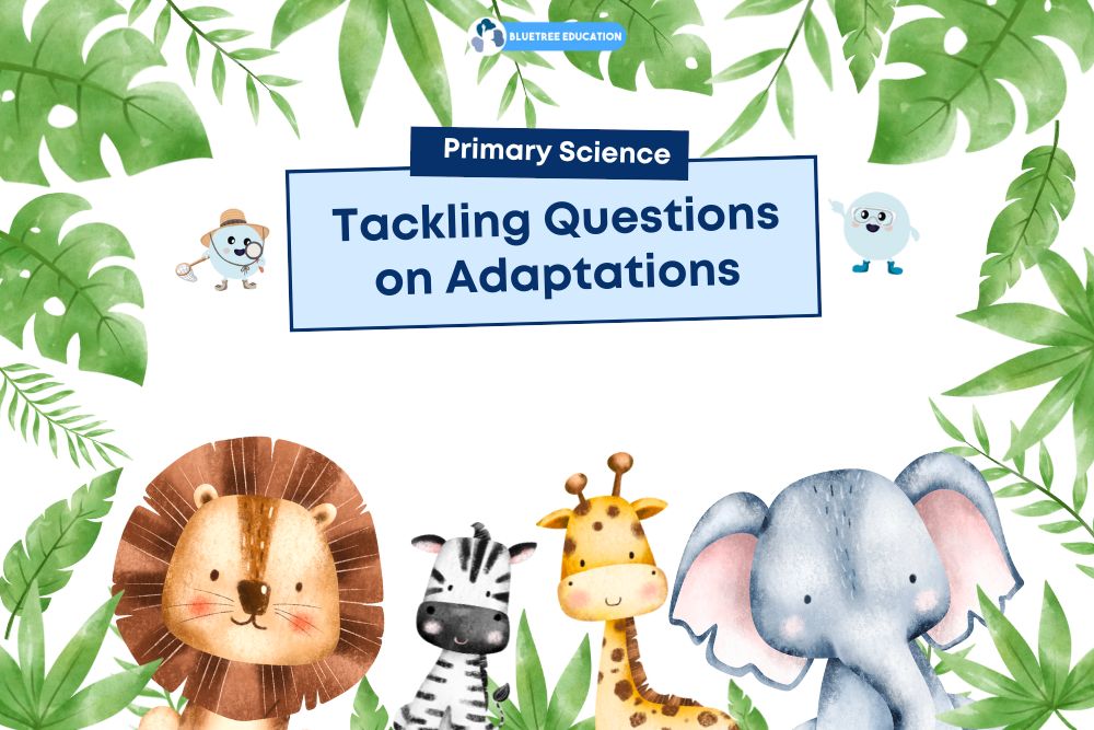 tackling-psle-science-questions-adaptations