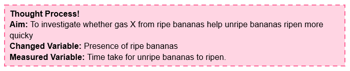 photosynthesis-application-question-green-banana