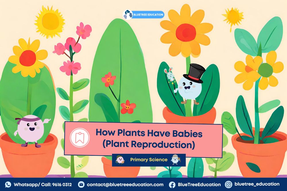 plant-reproduction-science-psle