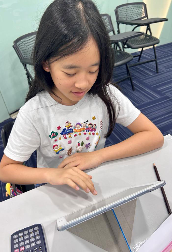 Math Student at BlueTree Education