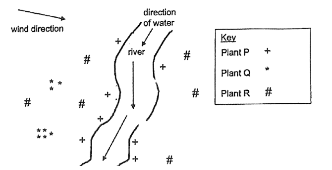 Water seed dispersal NanHua 1