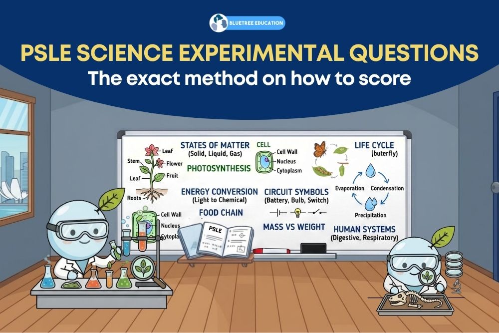 how-to-solve-psle-science-experiment-questions