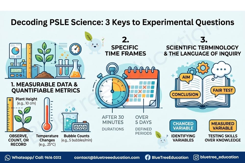 3-keys-to-psle-science-experiment-questions