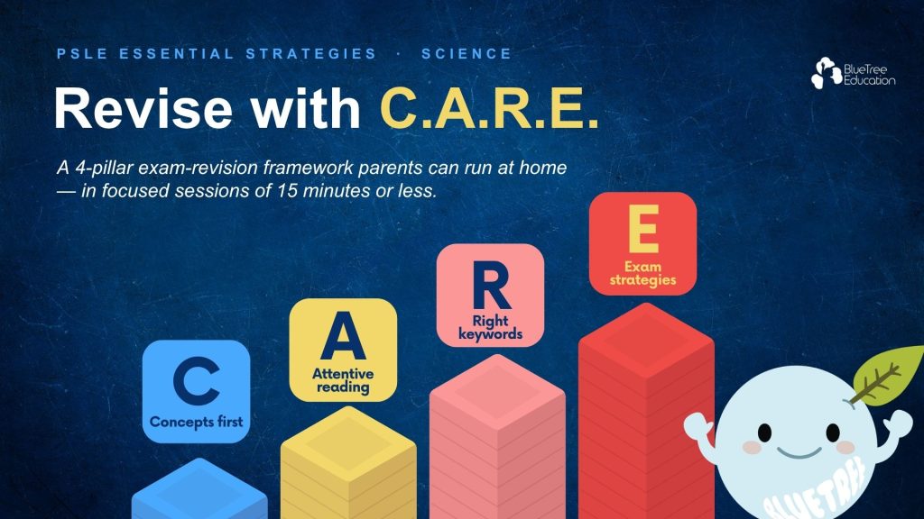 care-framework-st-forum