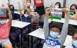 primary-4-science-students-water-cycle-science-concepts-hands-on