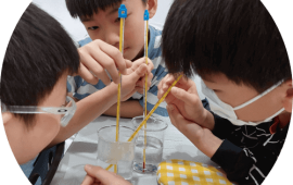 students conducting experiments in primary 4 science tuition class